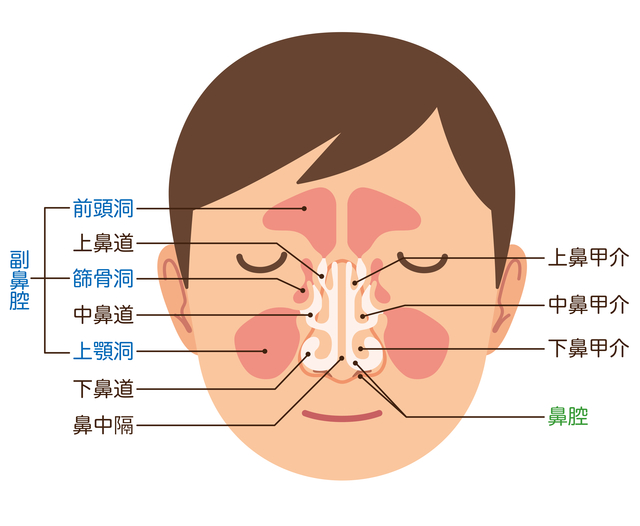 副鼻腔炎