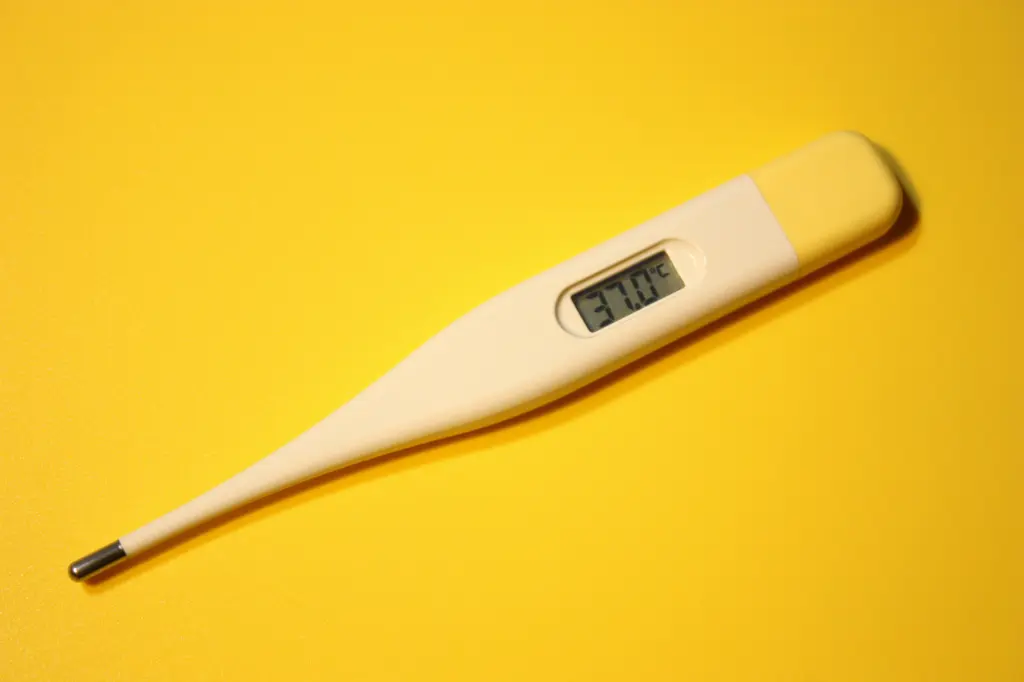 37.2度  2点セット なぜ？37度の微熱が続く…もしかして病気？病院行くべき？ | Medicalook