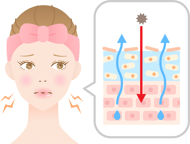 肌のバリア機能の低下