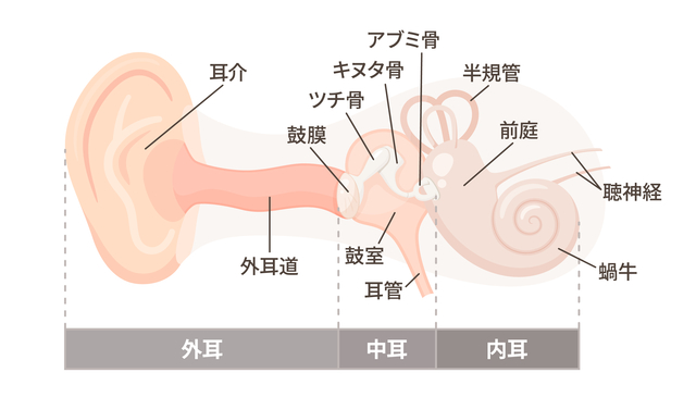 耳 詰まり 下を向くと治る