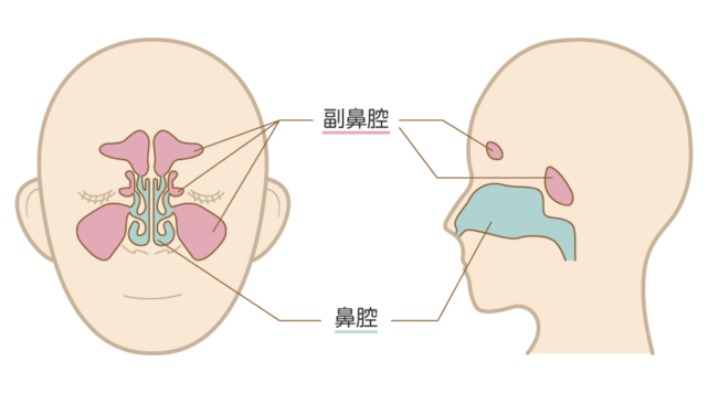 鼻からゼリー状の塊