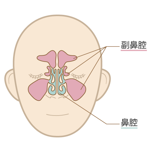 副鼻腔炎　目が痛い　対処法