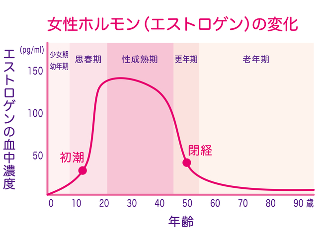 女性ホルモン変化