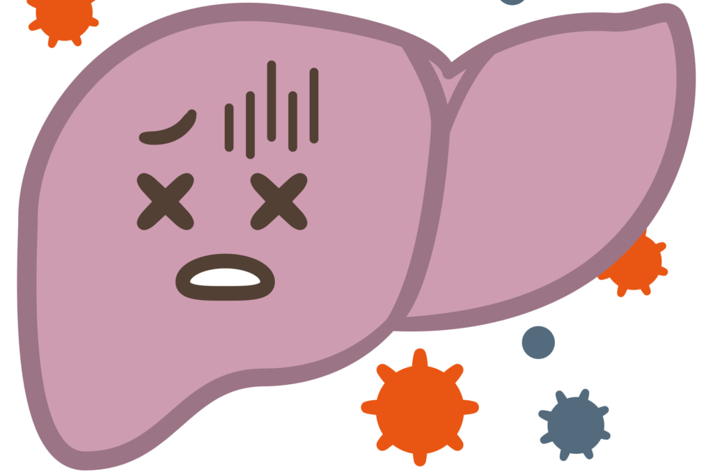 肝臓が悪いと太るって本当？ぽっこりお腹は危険サインかも。注意すべき自覚症状も