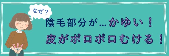 陰毛部分　痒い