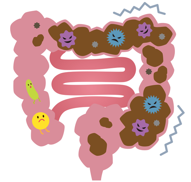 悪玉菌が増えて腸が弱っている