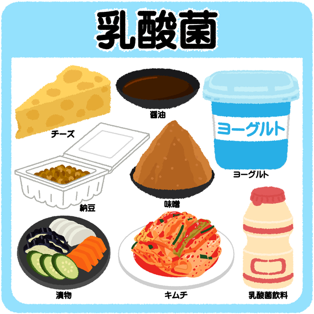 善玉菌を増やす食品